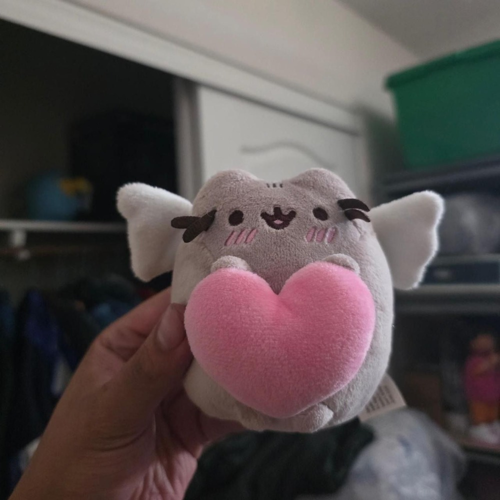 Pusheen angel valentine